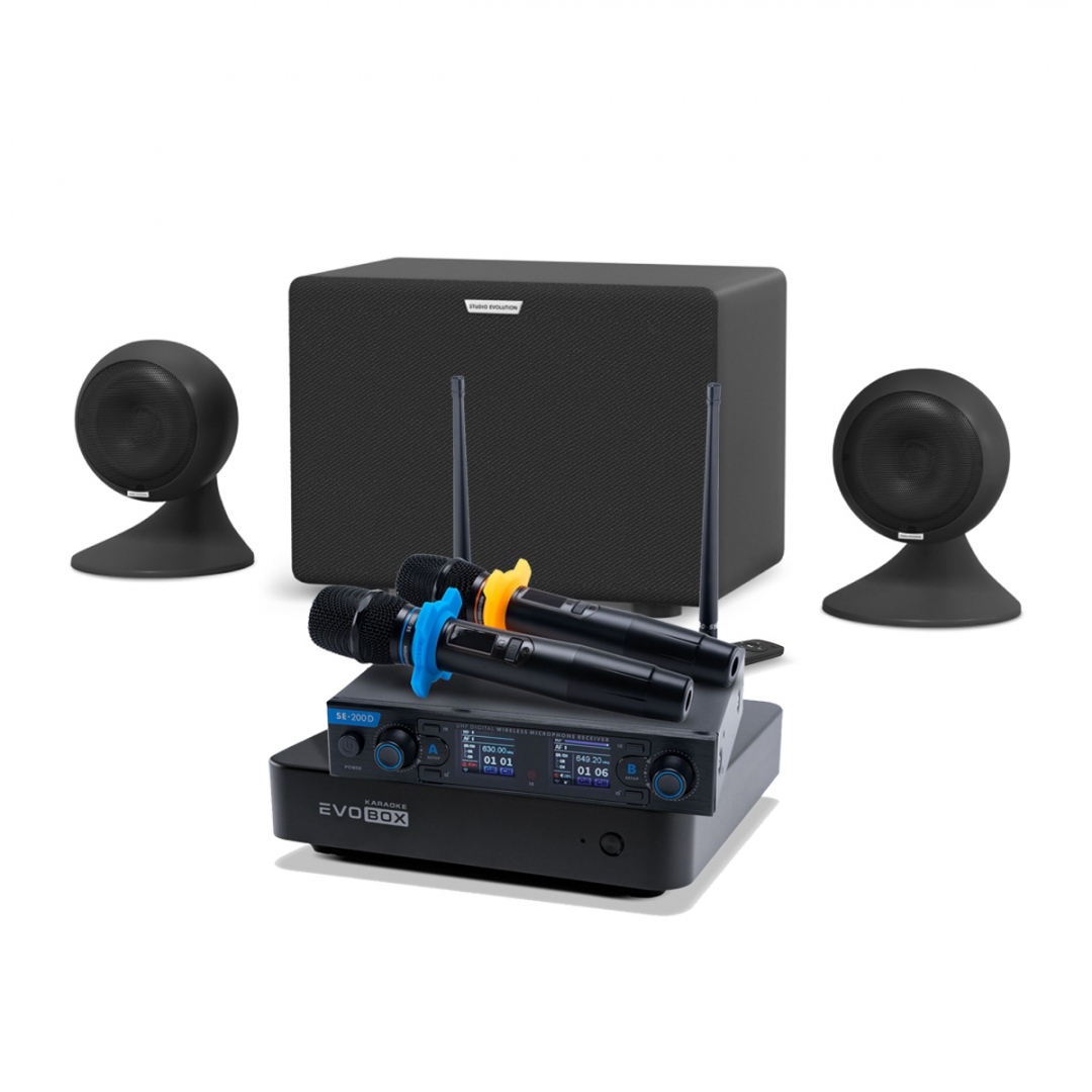 караоке-комплект EVOBOX + EvoSound Sphere 2.1 в Торжке