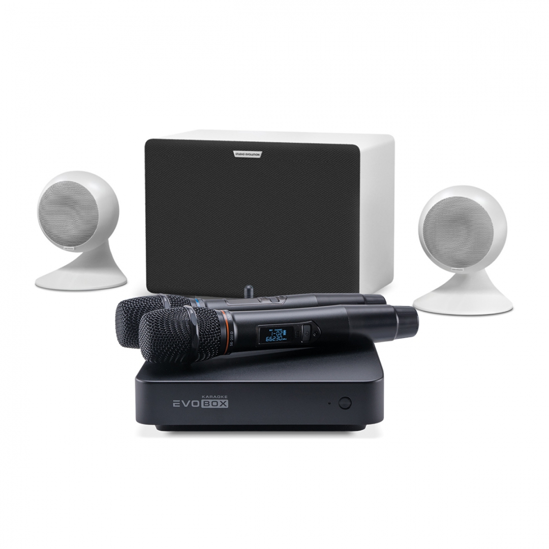 караоке-комплект EVOBOX Classic + EvoSound Sphere 2.1 в Торжке