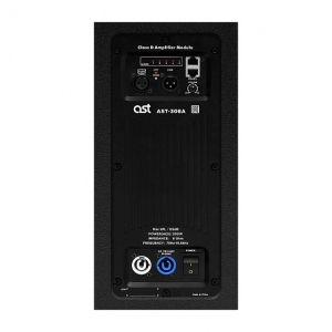 Активная акустическая система AST-308A в Торжке