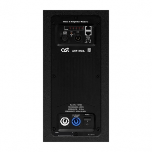 Активная акустическая система AST-312A в Торжке