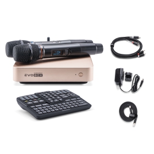 EVOBOX Classic караоке-система для дома в Торжке